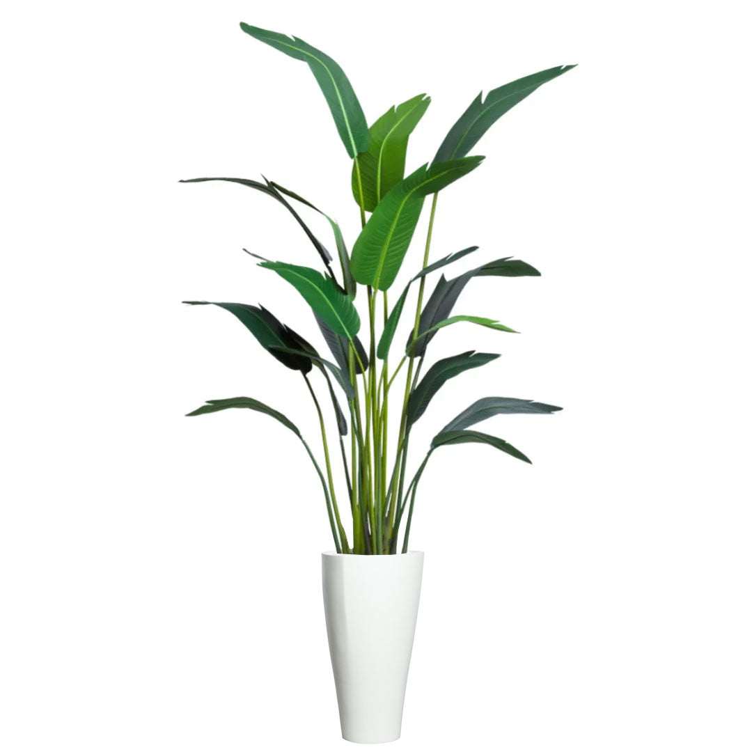 Artificial tropical palm plant with large green leaves in a tall white pot on white background