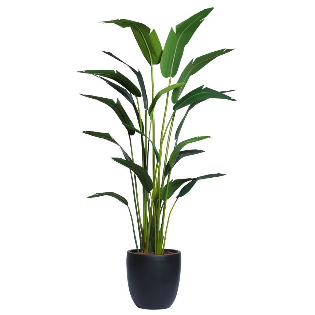 Artificial potted palm plant with long green leaves in a black pot, isolated on white