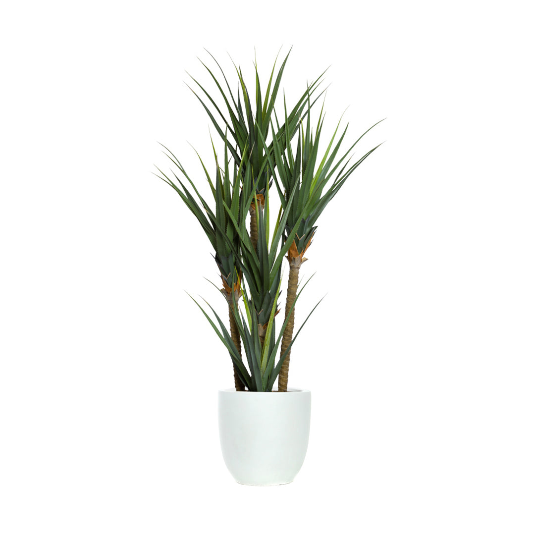 Artificial pandanus plant with spiky green leaves in a white pot on white background