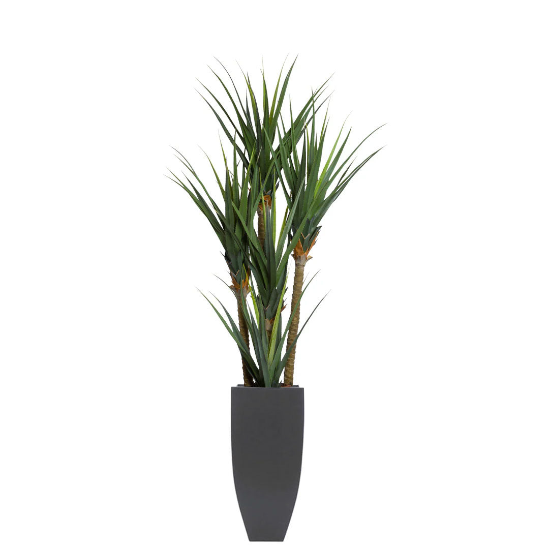 Faux pandanus plant with long green leaves in a tall black planter on white background