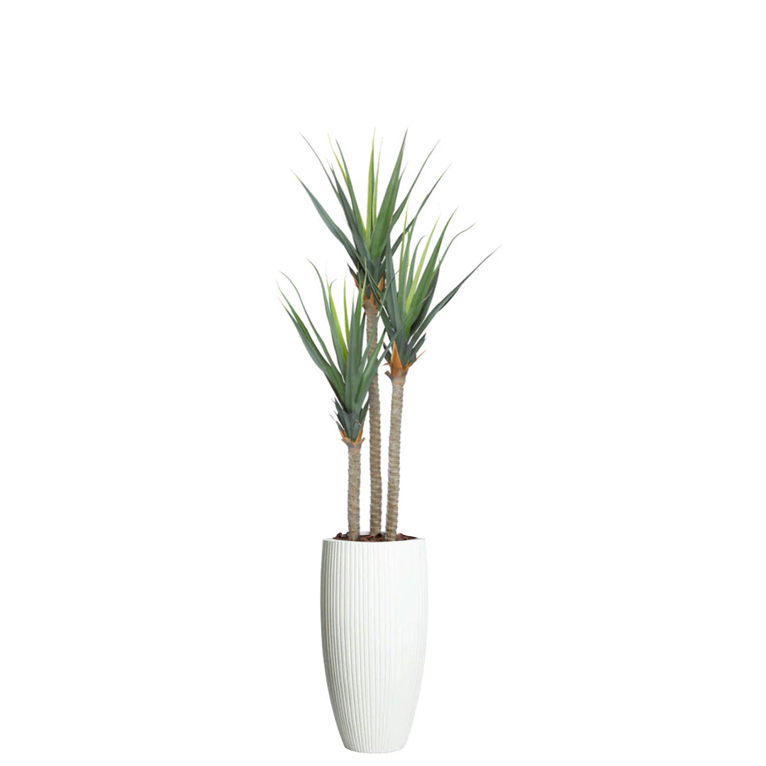Artificial pandanus plant with tall green leaves in a white ribbed planter, isolated on white