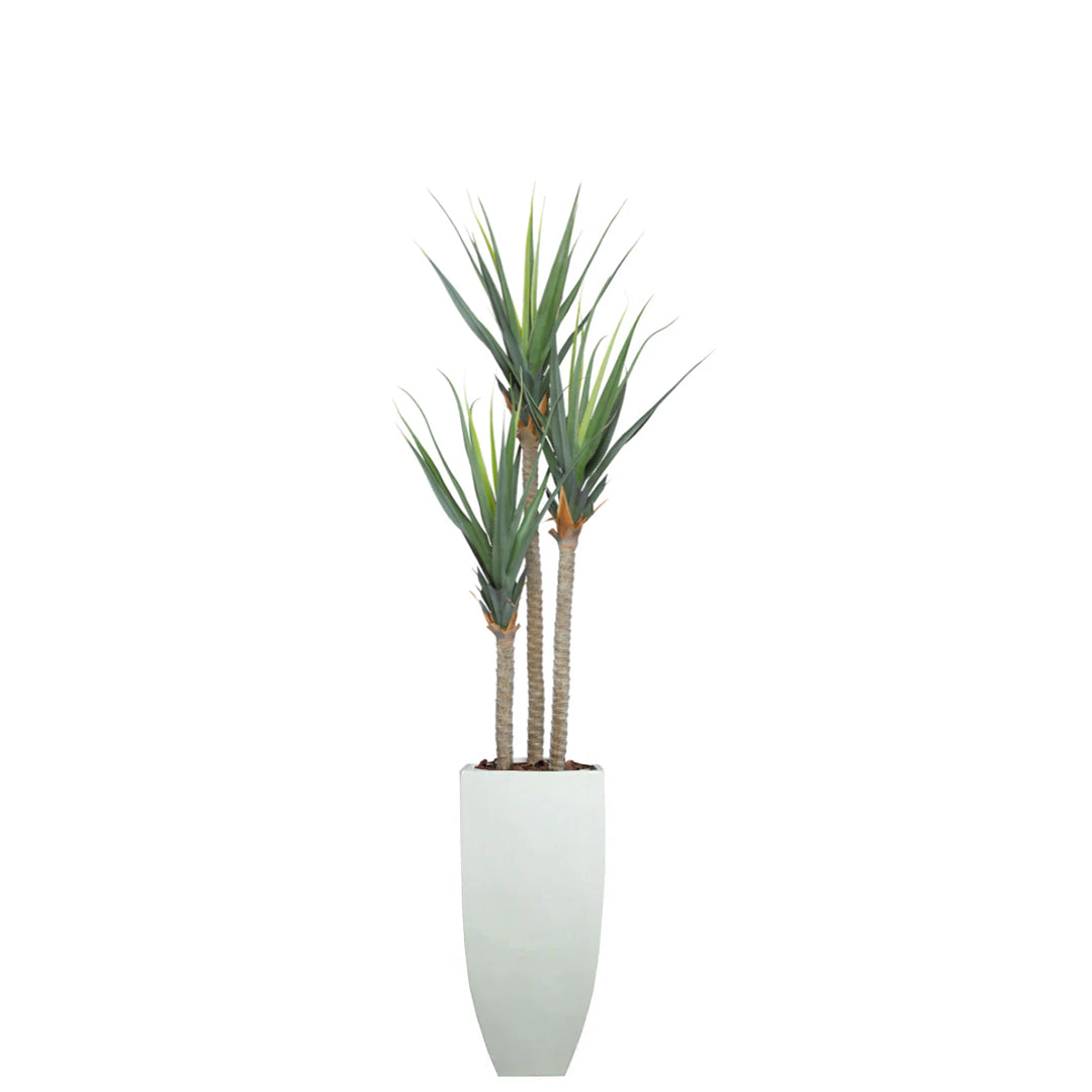 Artificial pandanus plant with three tall stems in a modern white planter on white background