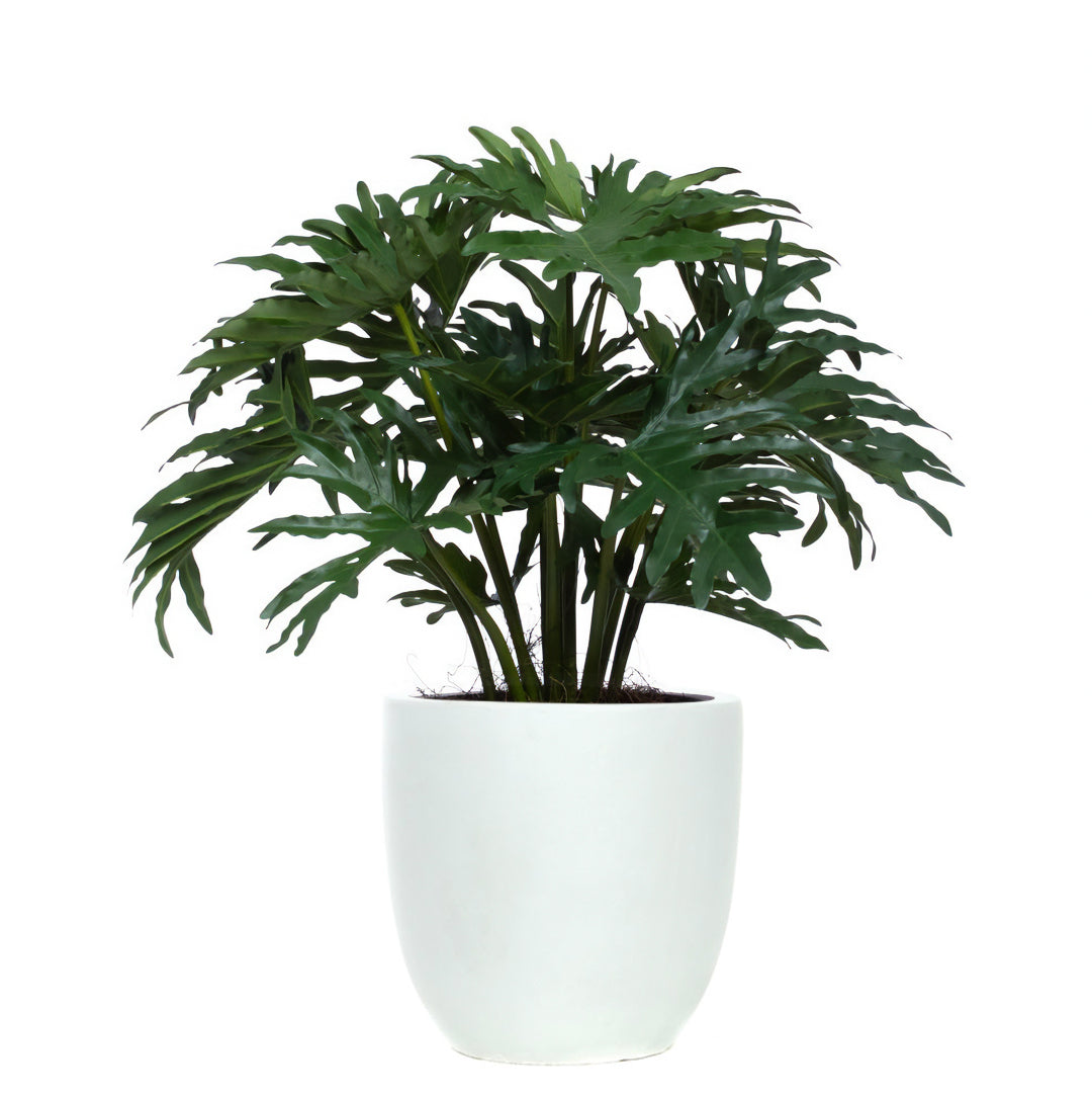 Philodendron Selloum artificial plant with lush green leaves in a modern white pot