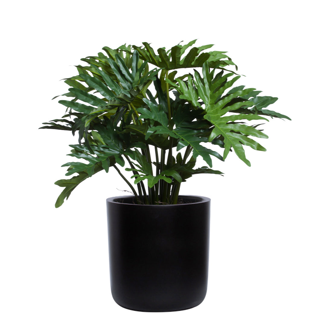 Philodendron Selloum artificial plant with lush green leaves in a modern black pot