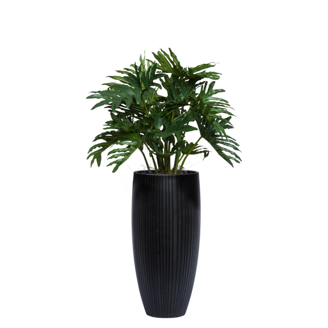 Philodendron Selloum artificial plant in a tall, black ribbed planter on white background