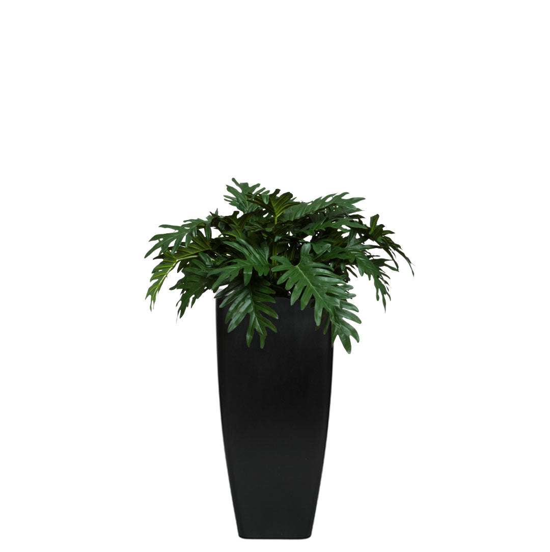 Artificial philodendron selloum plant in tall matte black planter on white background