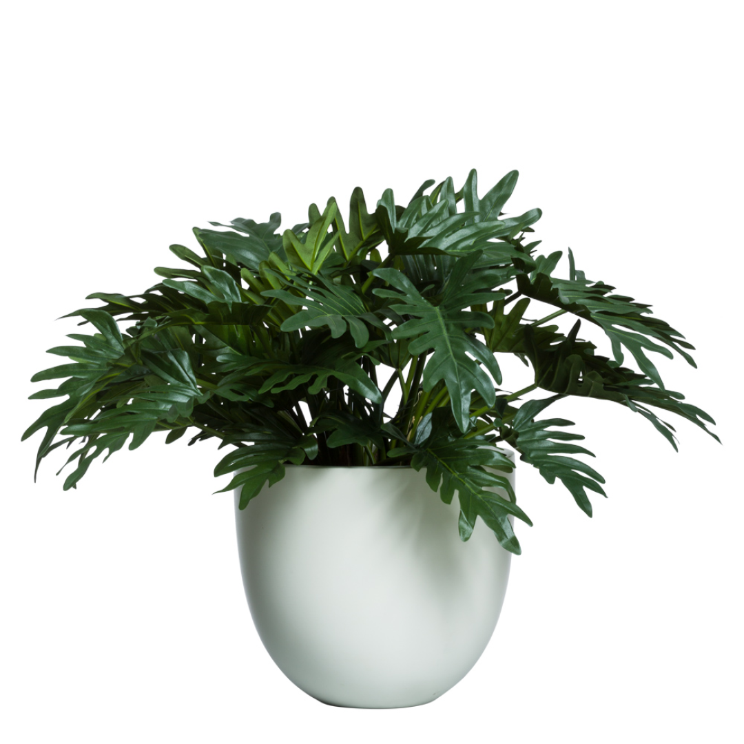 Artificial philodendron selloum plant with broad green leaves in a modern white pot