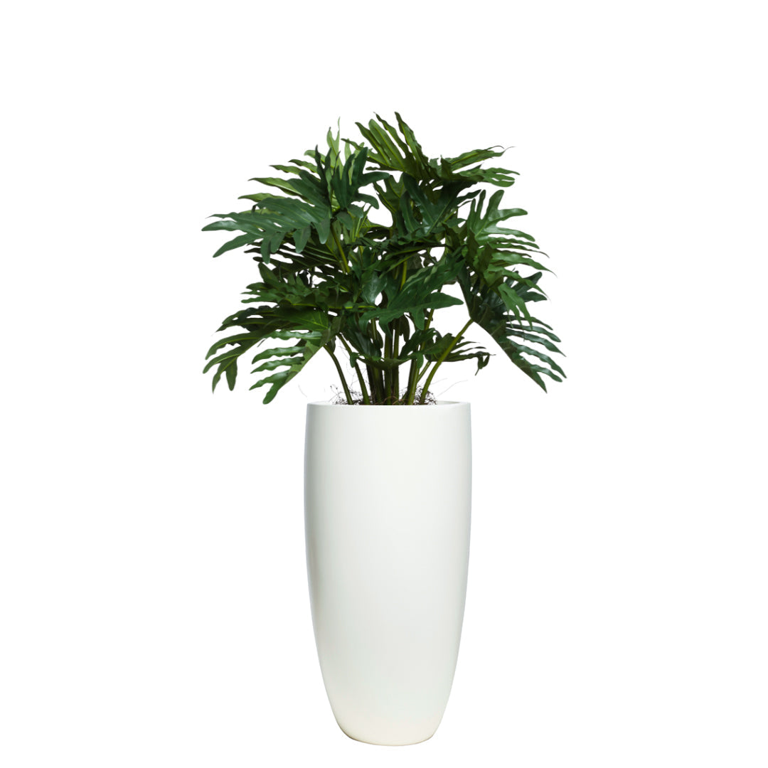 Artificial Philodendron Selloum plant in tall white modern planter on white background