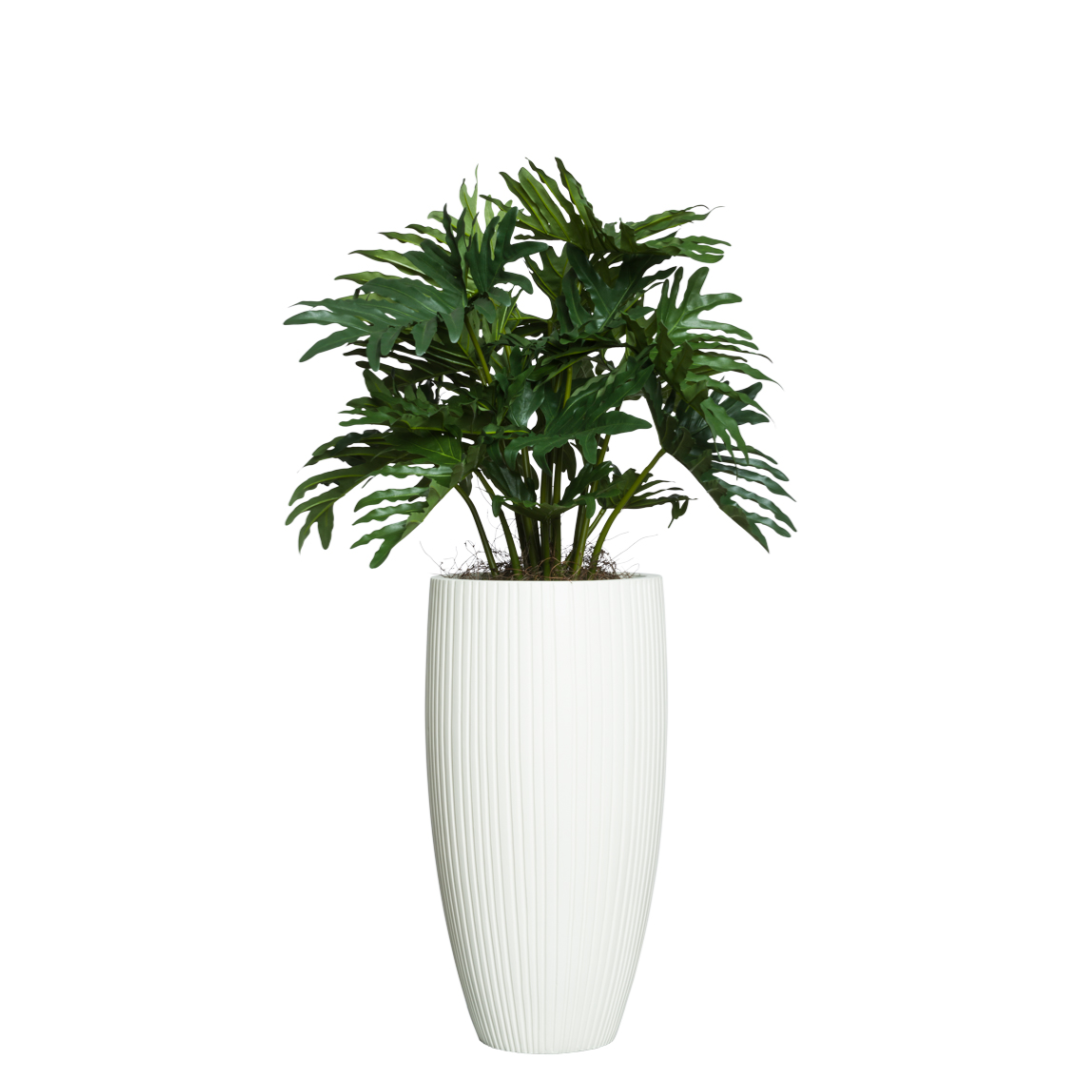 Artificial philodendron plant in tall white ribbed planter on white background