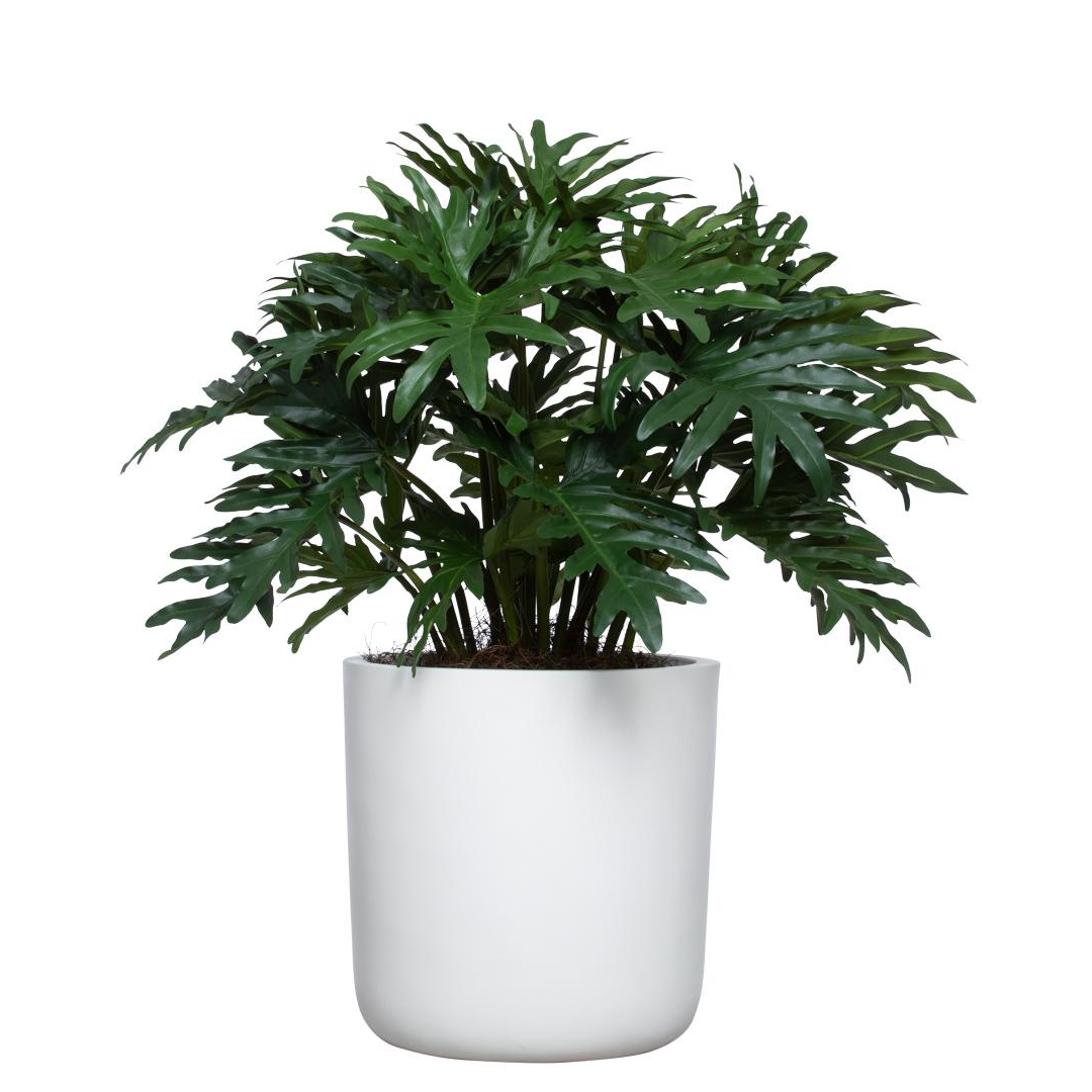 Artificial Philodendron Selloum plant with lush green leaves in a modern white pot