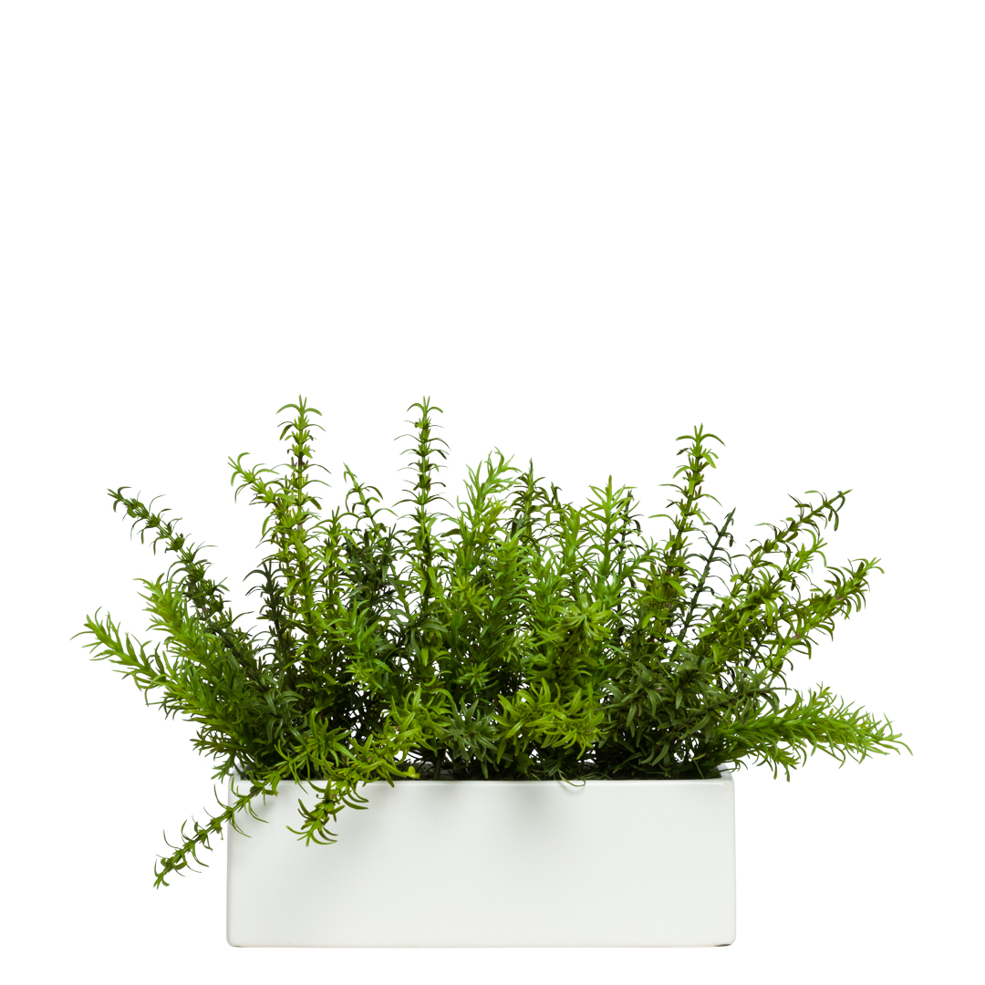 Artificial rosemary plant in modern white rectangular planter, realistic green foliage