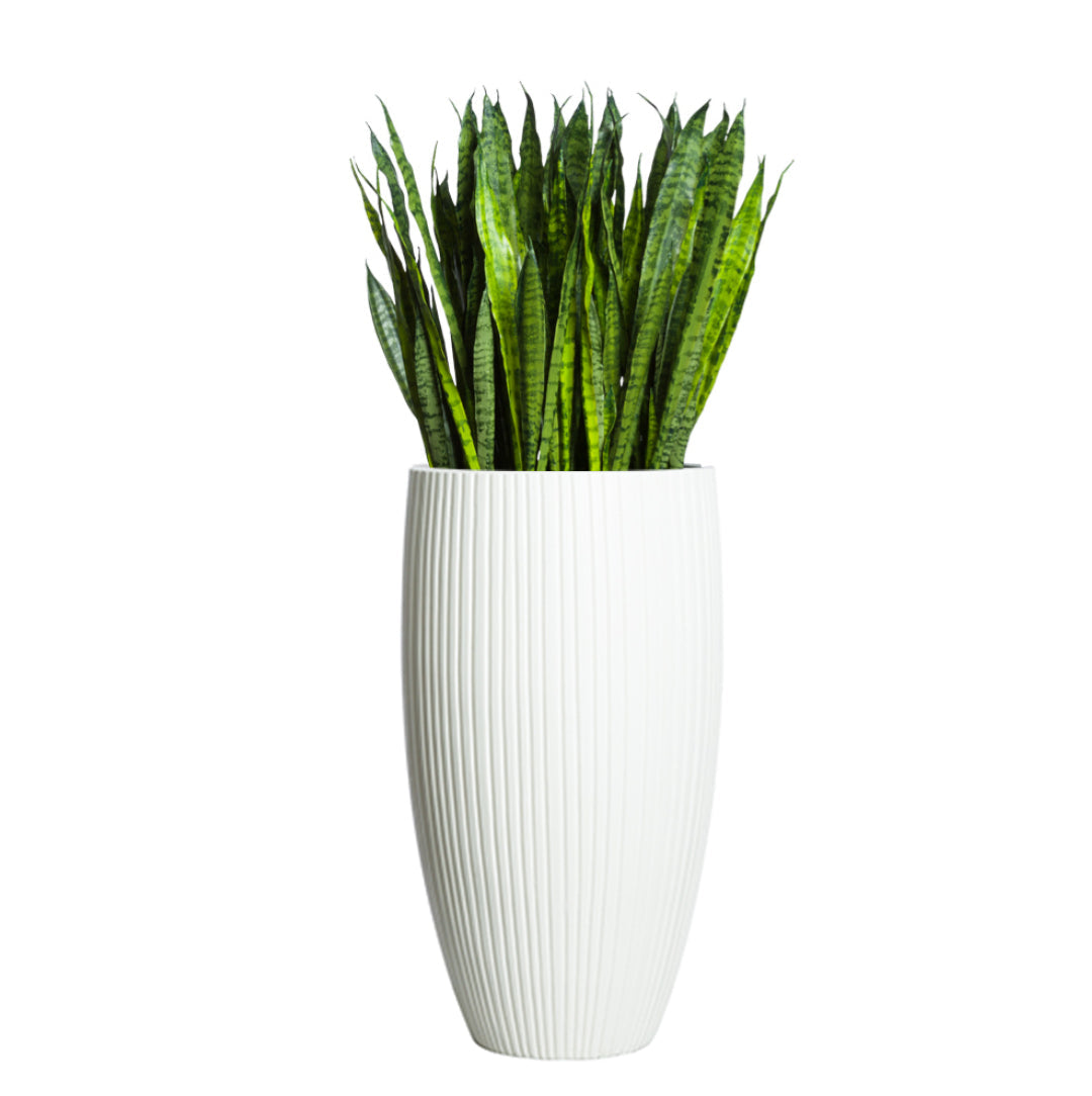 Sansevieria plant in tall ribbed white planter, artificial greenery home decor