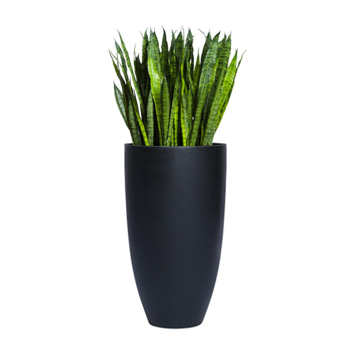 Tall artificial sansevieria plant in a smooth black planter on white background