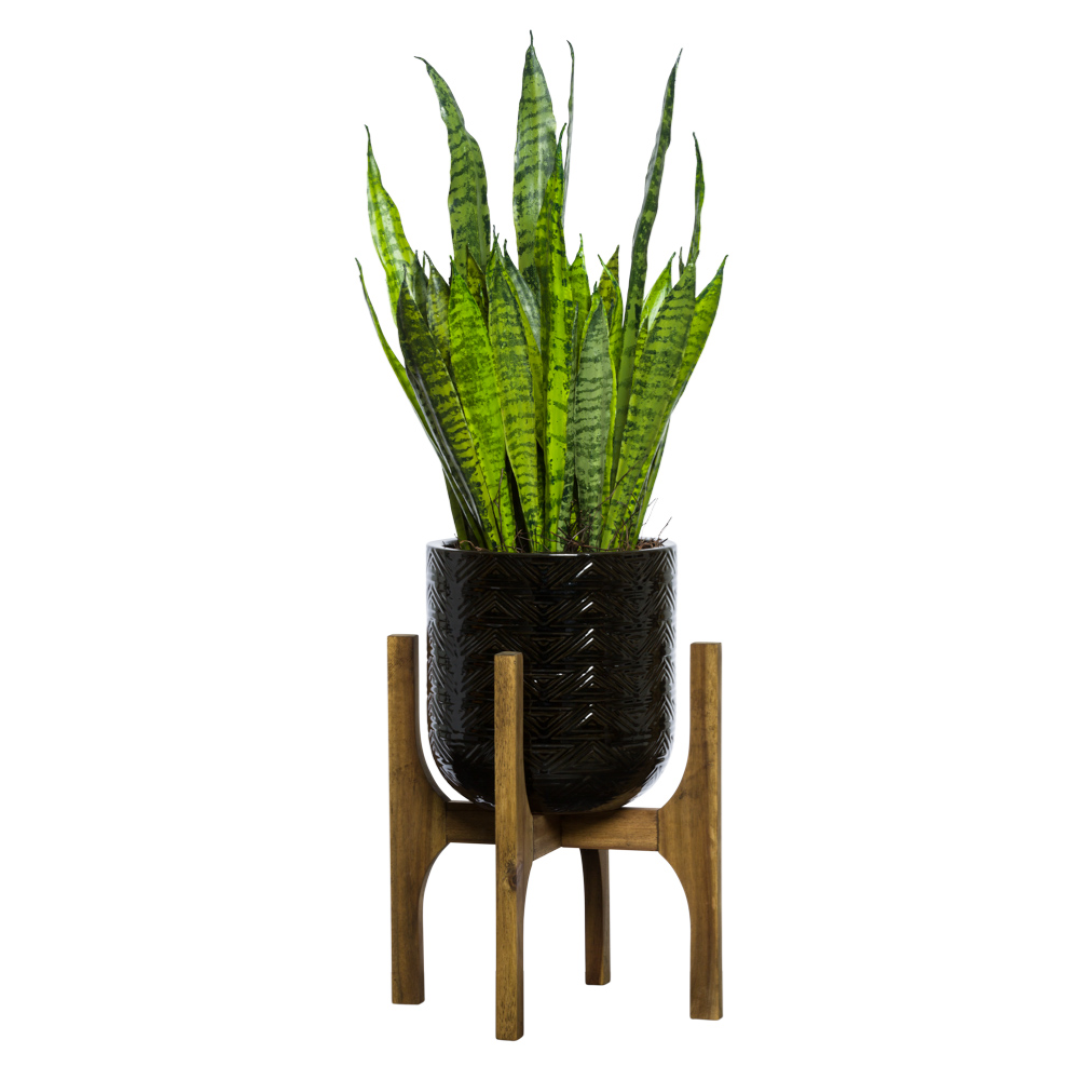 Artificial snake plant in black textured pot on wooden stand, modern home decor