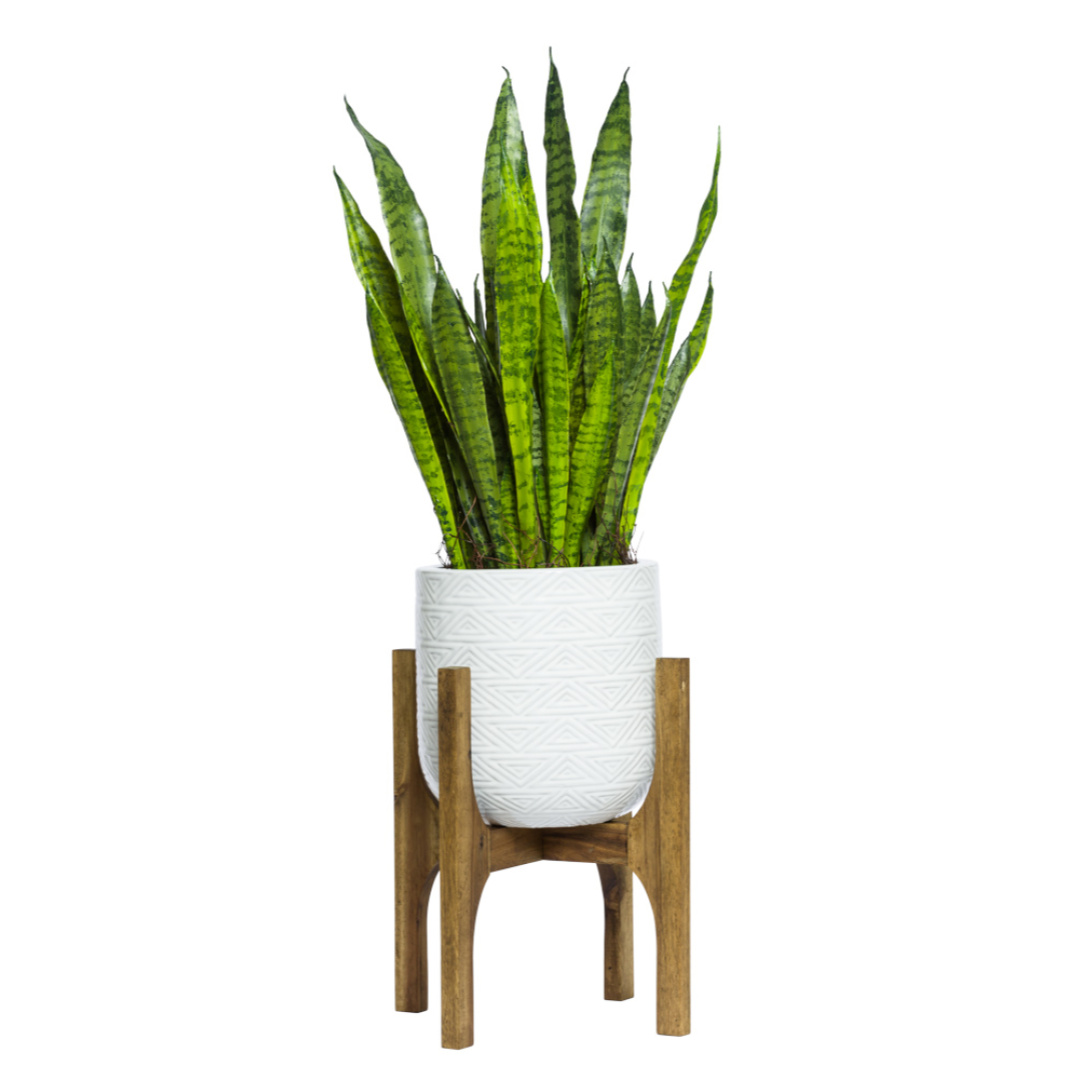 Artificial sansevieria snake plant in a white textured pot on a wooden stand