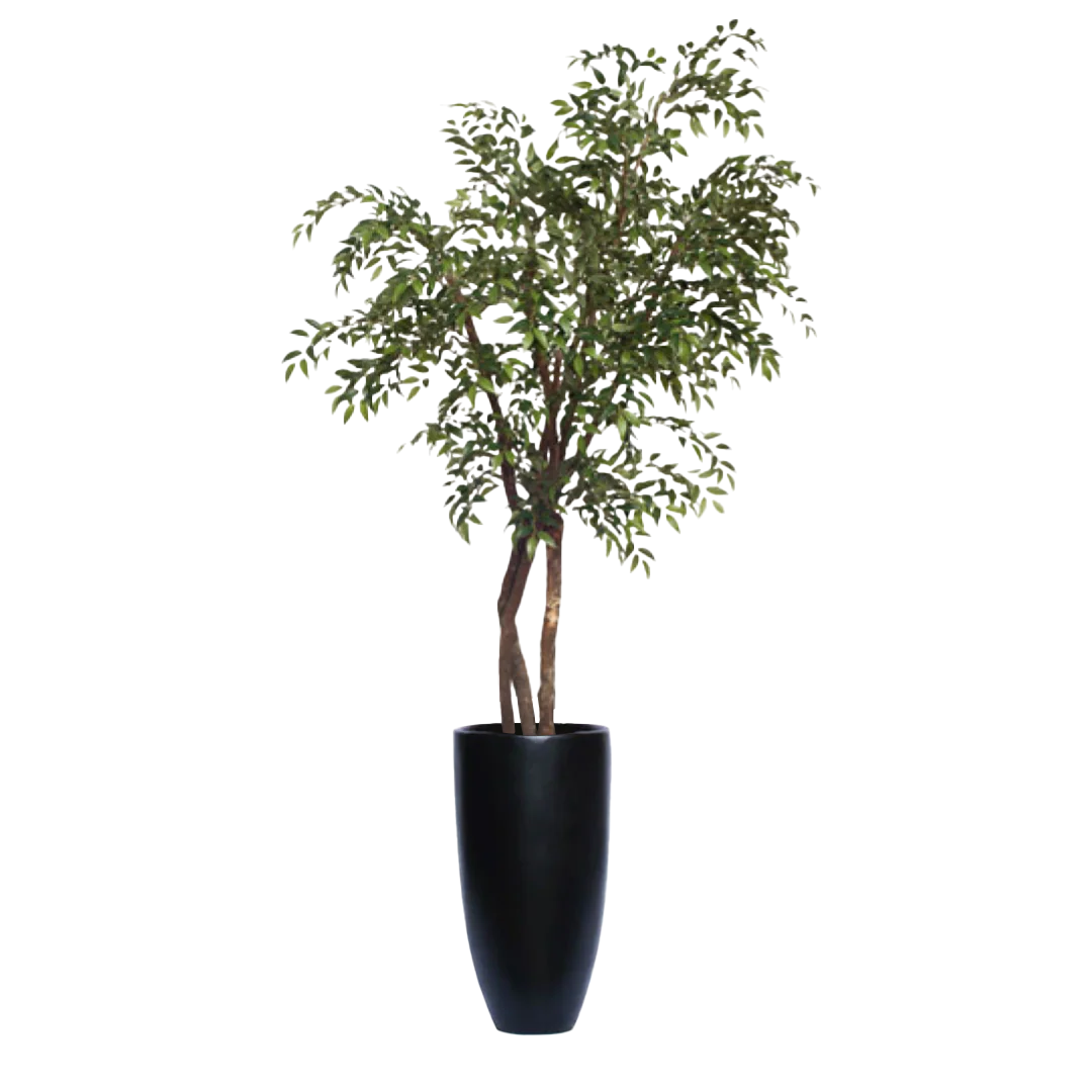 Artificial leafy tree in tall black planter on white background
