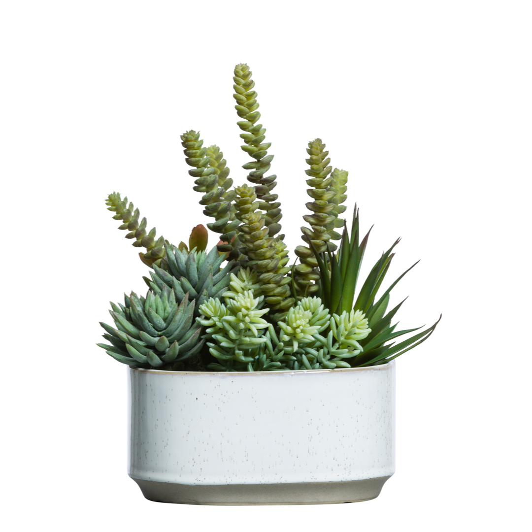 Assorted artificial succulents in a modern white ceramic pot on white background