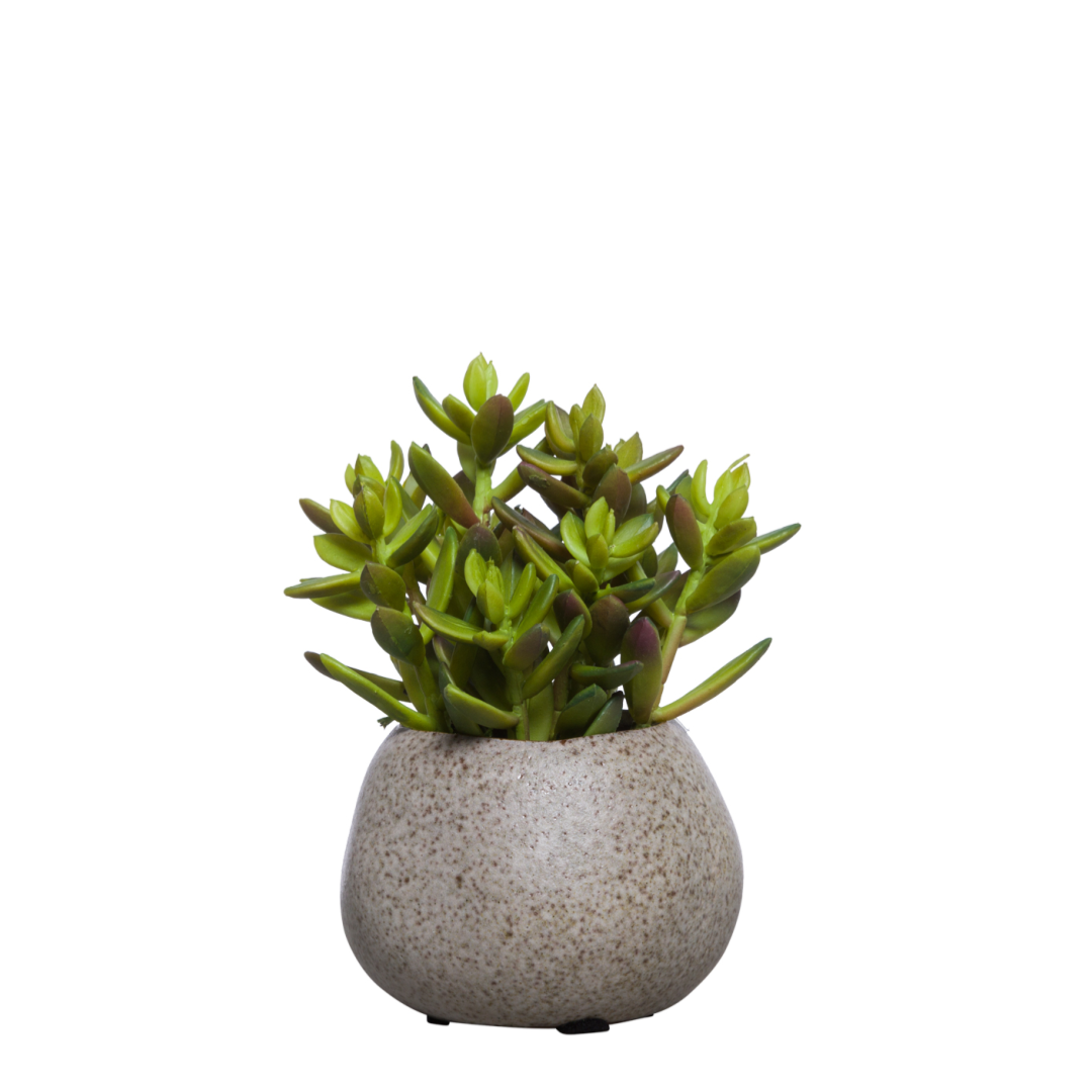 Artificial green succulent plant in a round speckled ceramic pot on white background