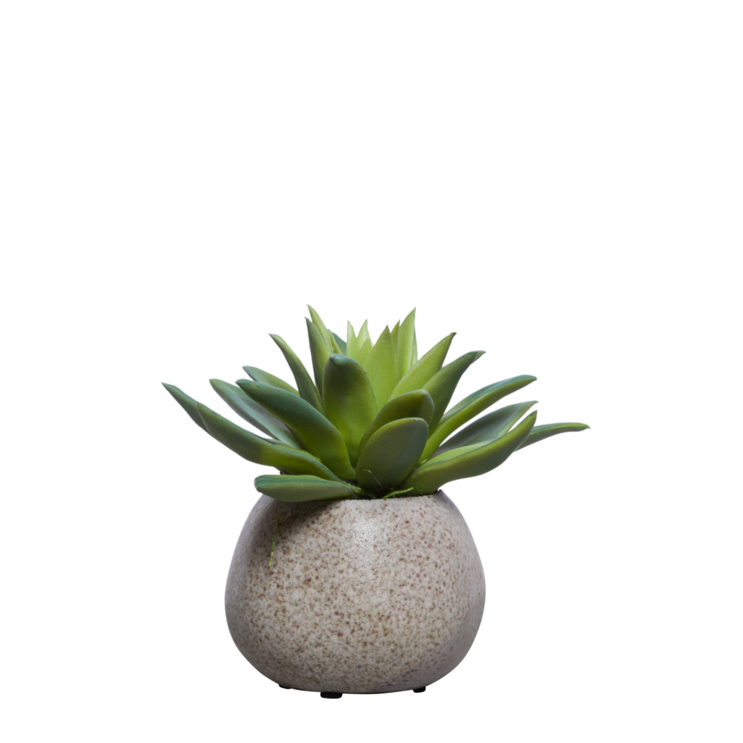 Realistic artificial succulent in round speckled ceramic pot on white background
