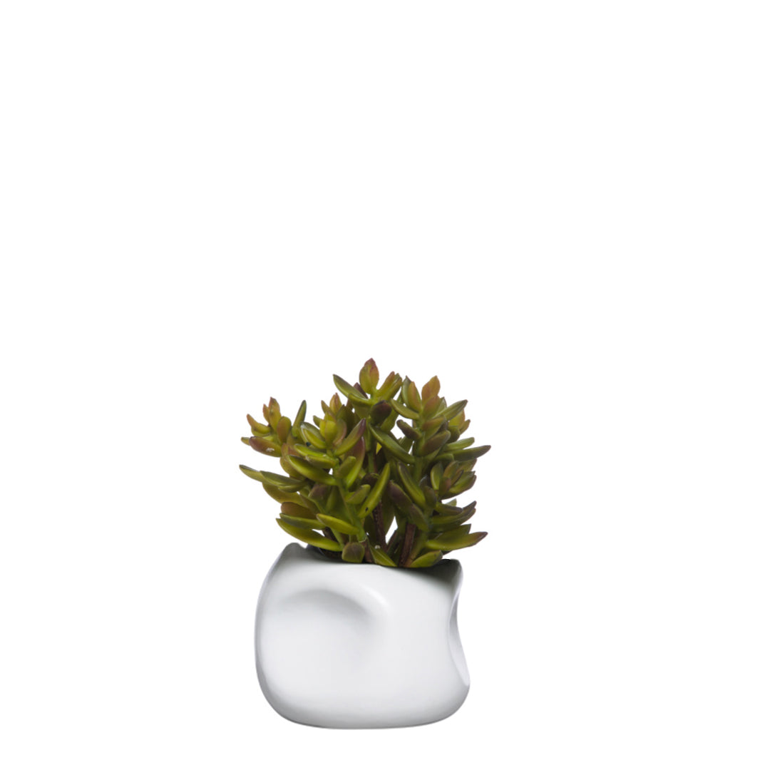 Artificial green succulent in modern white ceramic pot on white background