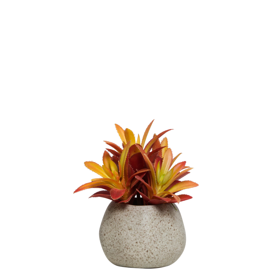 Artificial orange and yellow aeonium succulent in round speckled ceramic pot