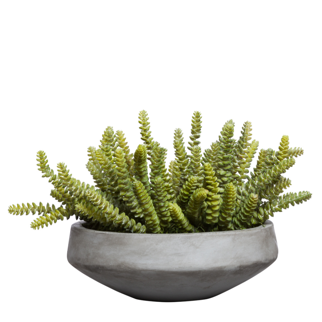 Artificial donkey tail succulent in a round gray ceramic pot, realistic faux plant décor