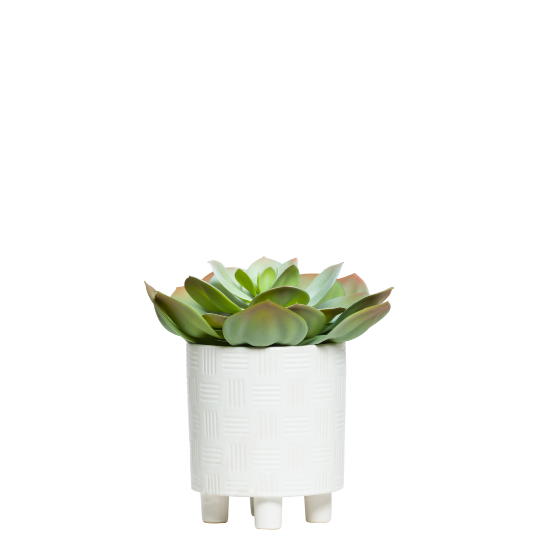 Artificial echeveria succulent in a textured white ceramic pot on three legs