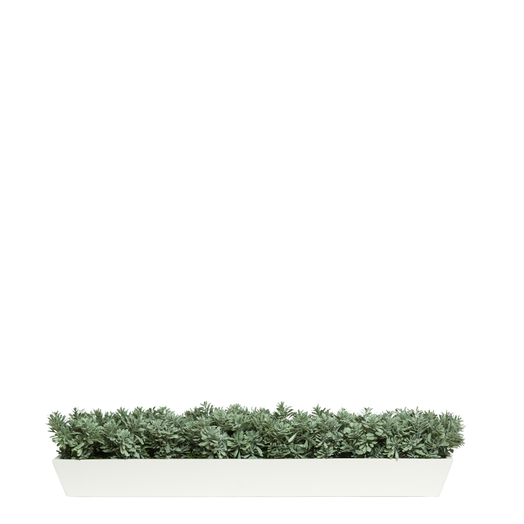 Artificial succulent grass arrangement in a modern rectangular white planter