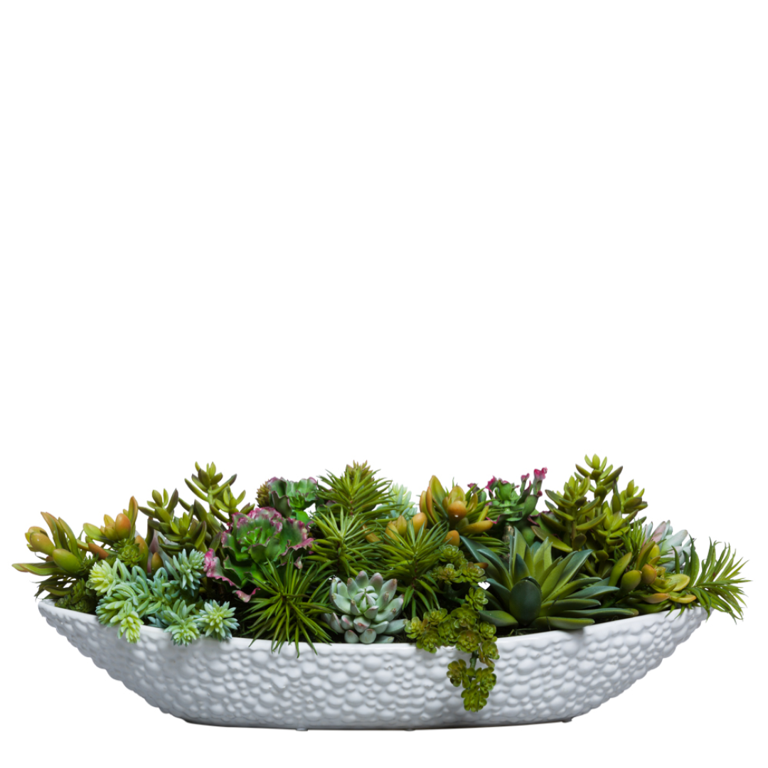 Artificial succulent arrangement in textured white oval planter