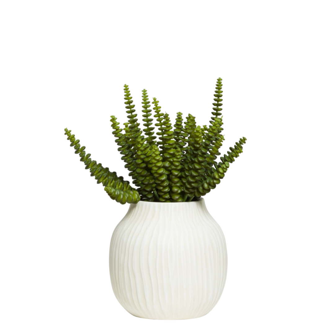 Artificial succulent plant in a textured white ceramic vase against white background