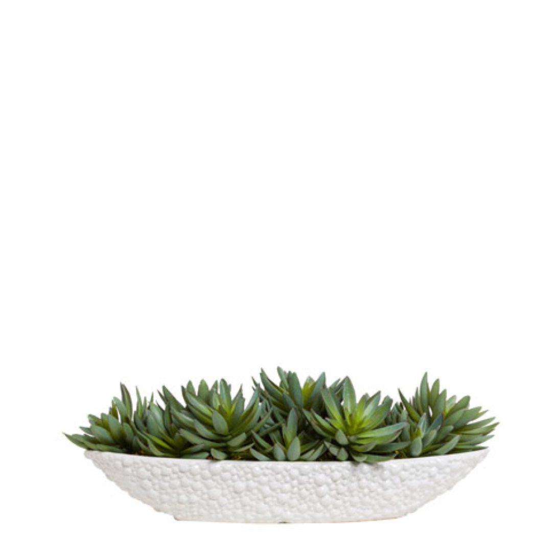 Artificial succulents in a textured white oval planter, modern tabletop decor