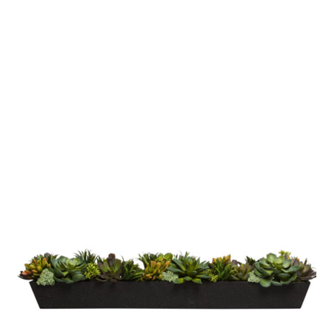 Assorted artificial succulents arranged in a long rectangular black planter