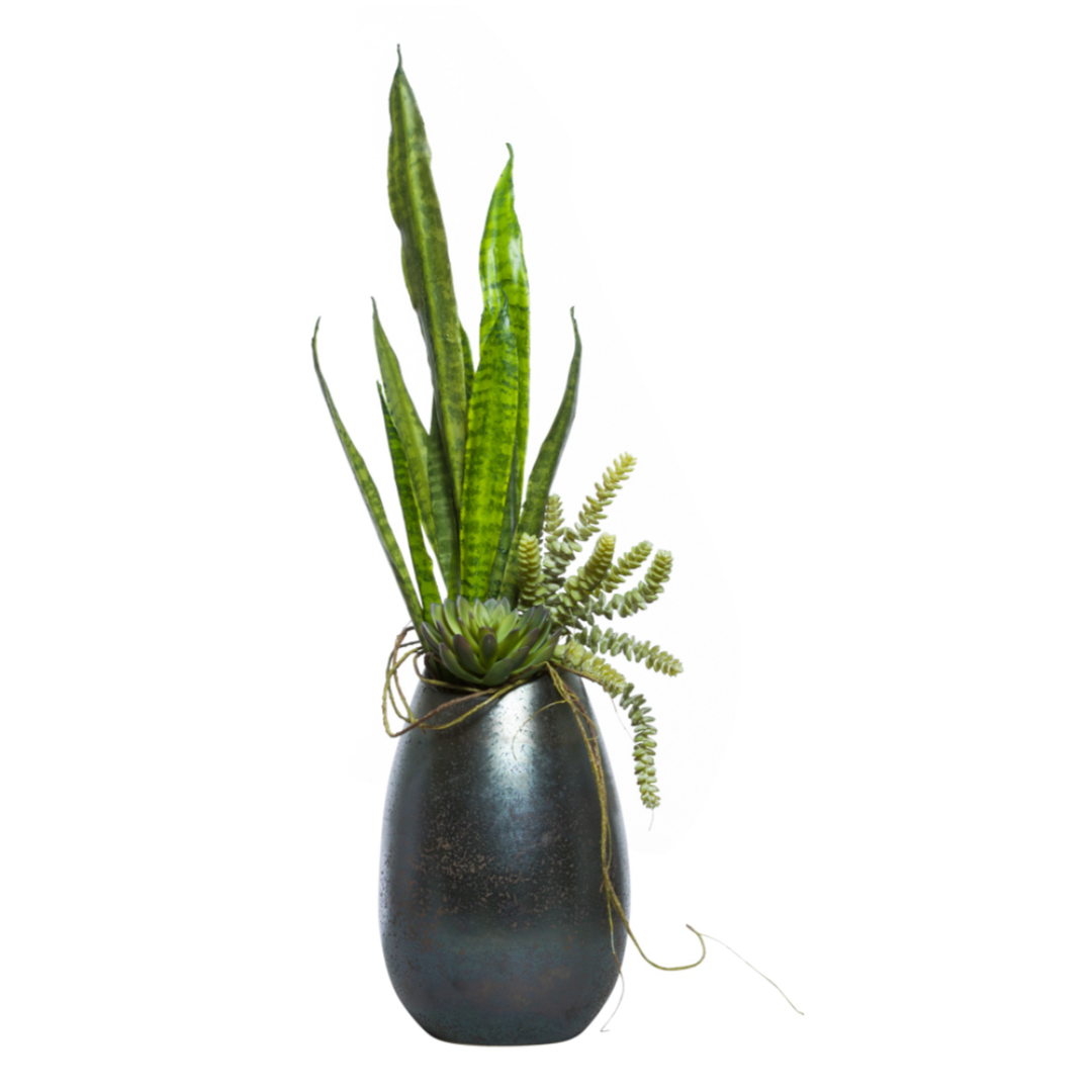 Artificial snake plant and succulents in a sleek black vase