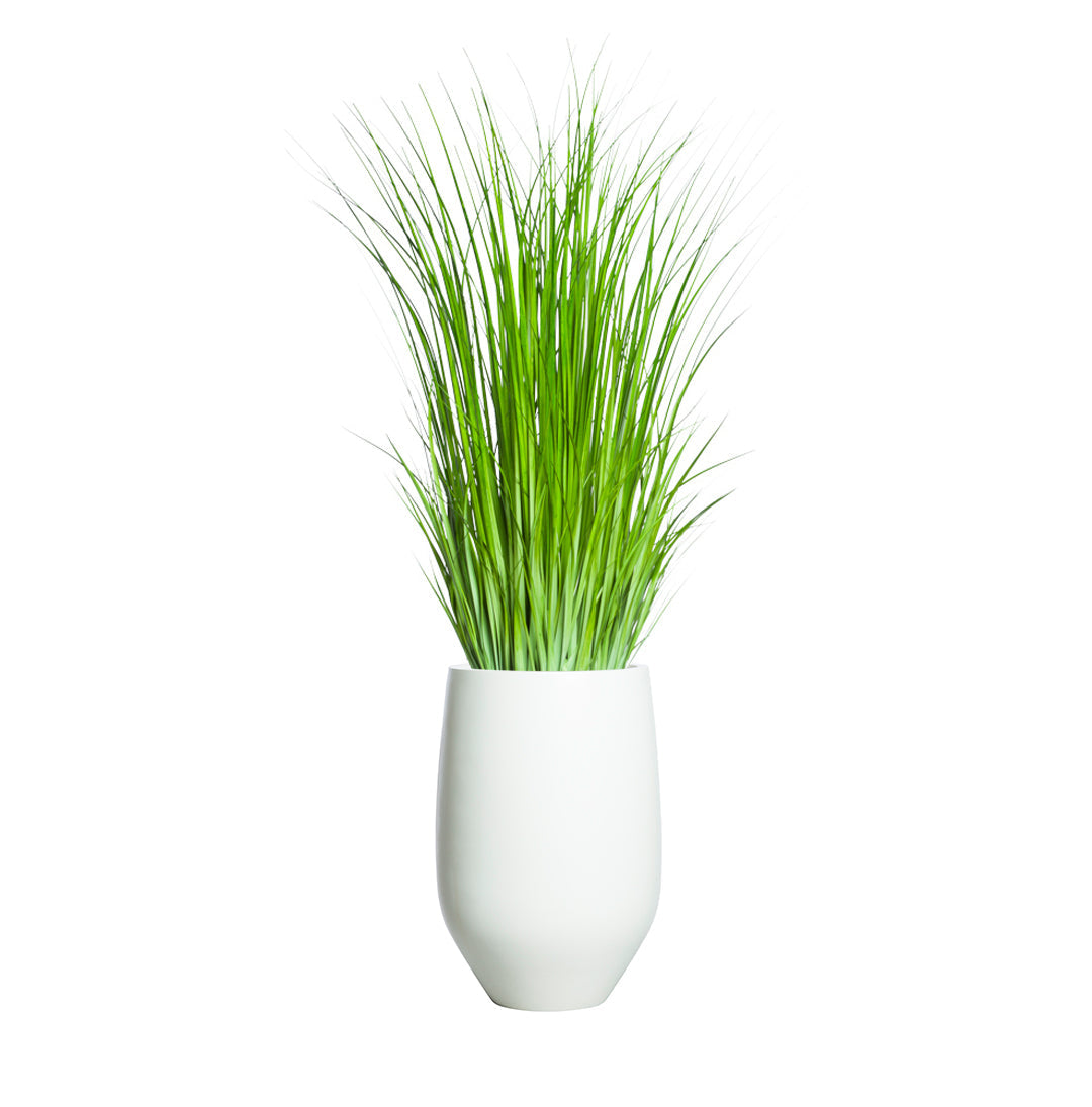 Artificial wild grass in modern white ceramic planter on white background
