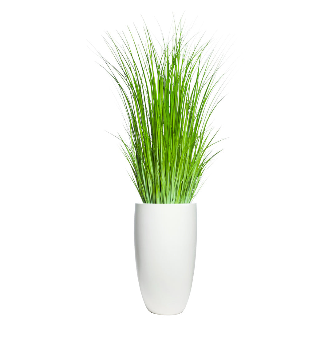 Tall artificial grass in a smooth white vase on white background