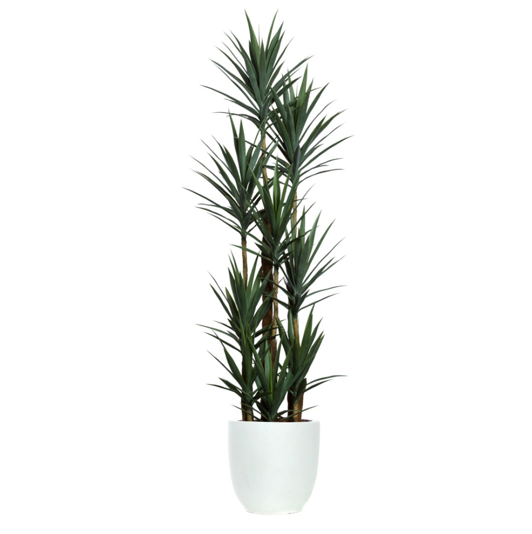 Artificial yucca plant with green spiky leaves in a modern white planter on white background