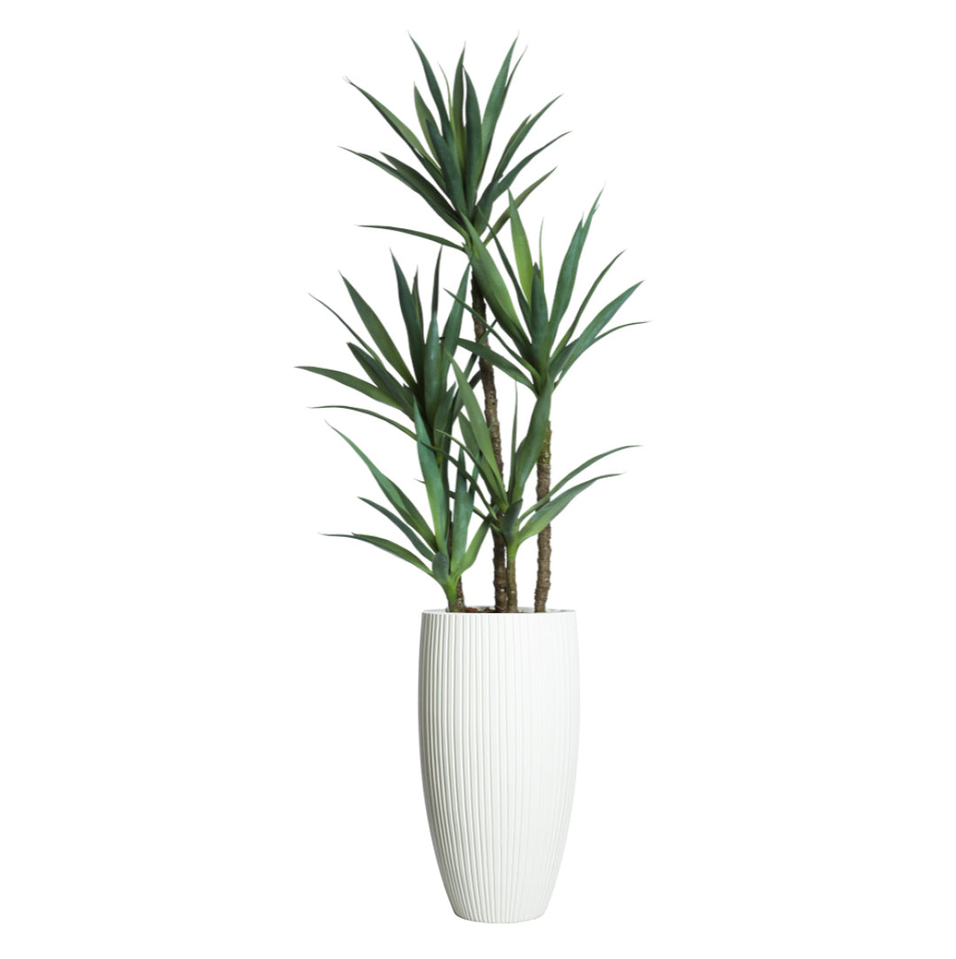Artificial yucca plant in tall white ribbed planter on white background