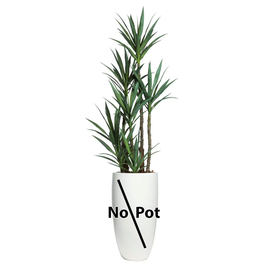 Artificial yucca plant with long green leaves, displayed in a white vase, text says No Pot