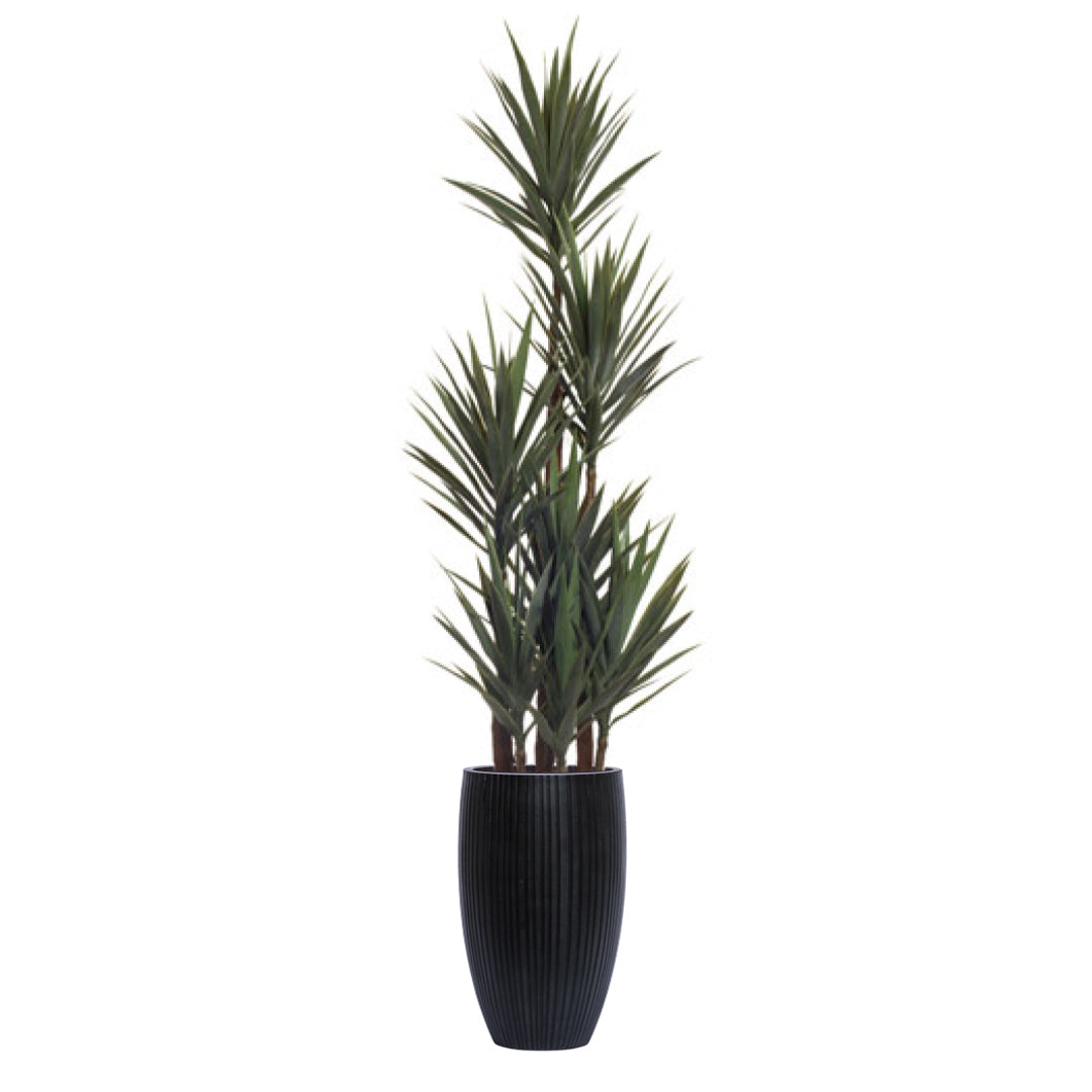 Tall artificial yucca plant in a black ribbed planter on white background