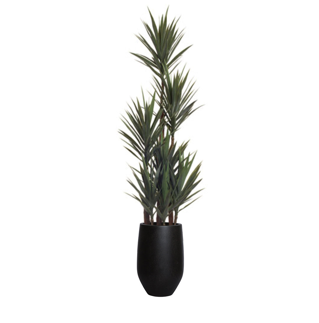 Artificial yucca plant in a tall black planter, realistic green spiky leaves, white background