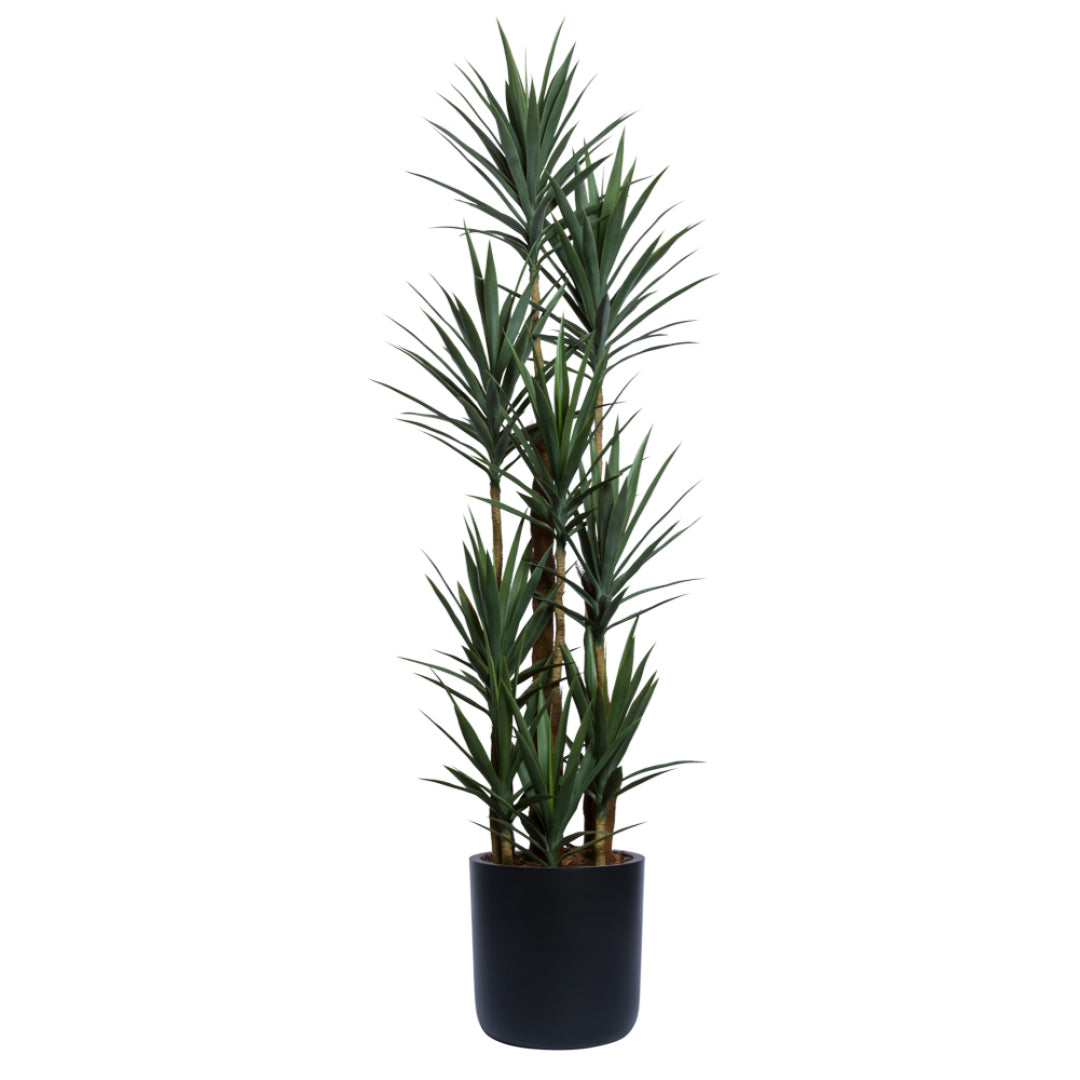 Artificial yucca plant with green leaves in a black pot on white background