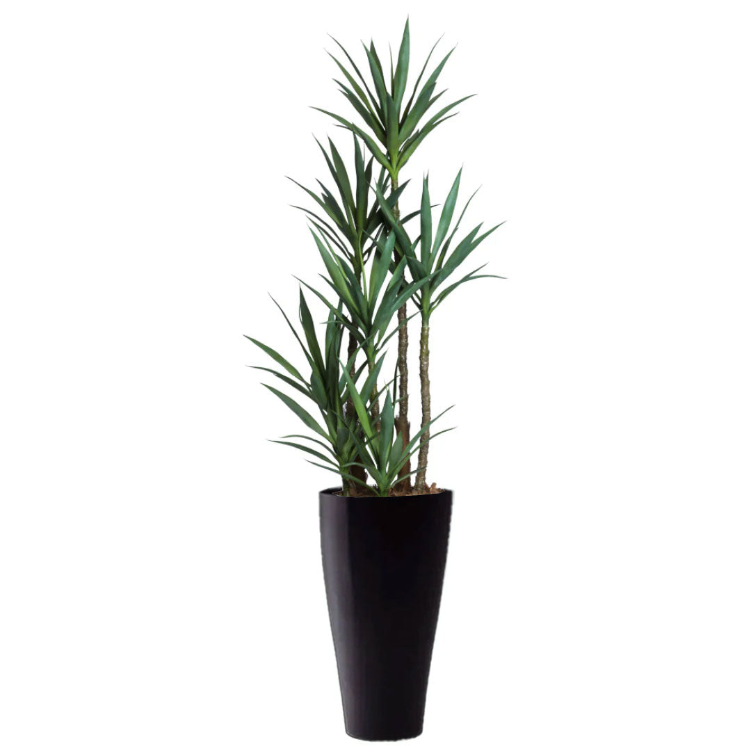 Artificial yucca plant with green leaves in tall black planter on white background