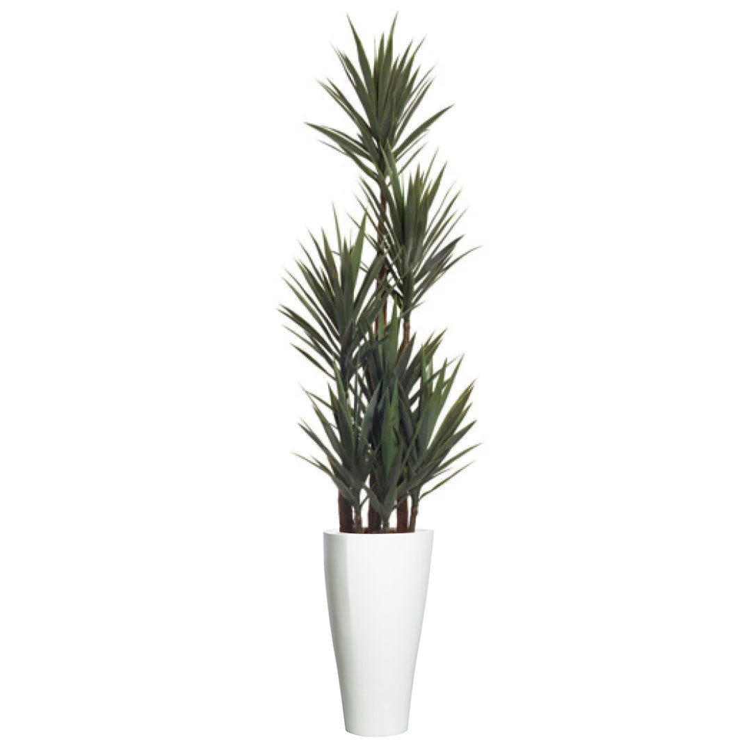 Artificial yucca plant in a tall white modern planter on a white background