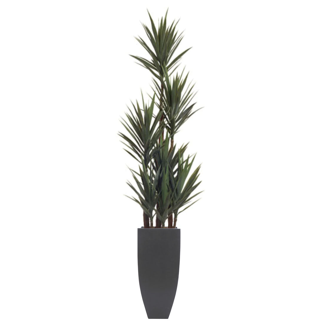 Artificial yucca plant with green spiky leaves in a tall black planter, white background