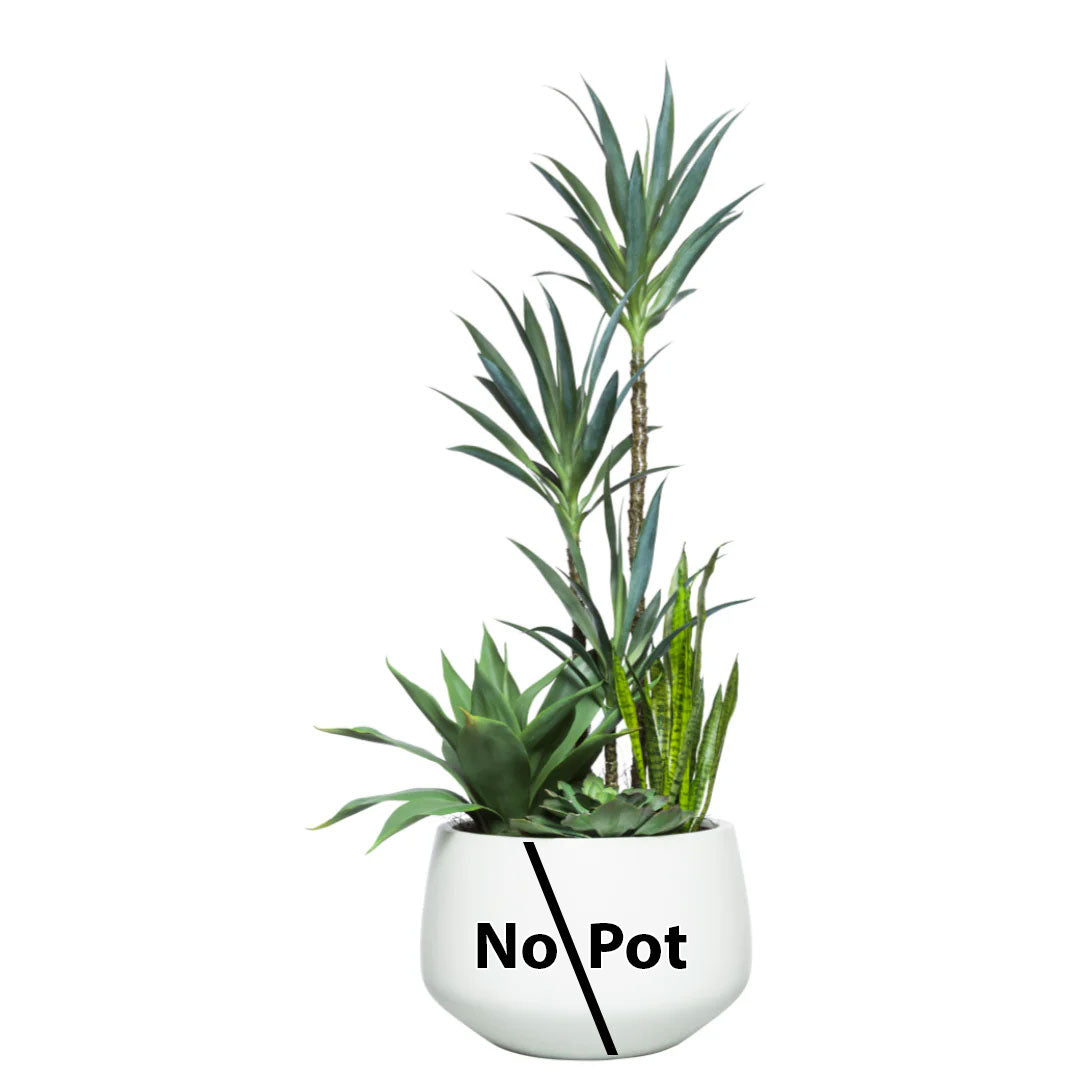 Artificial yucca and succulent mix arrangement in a white container, no pot included, on white background.