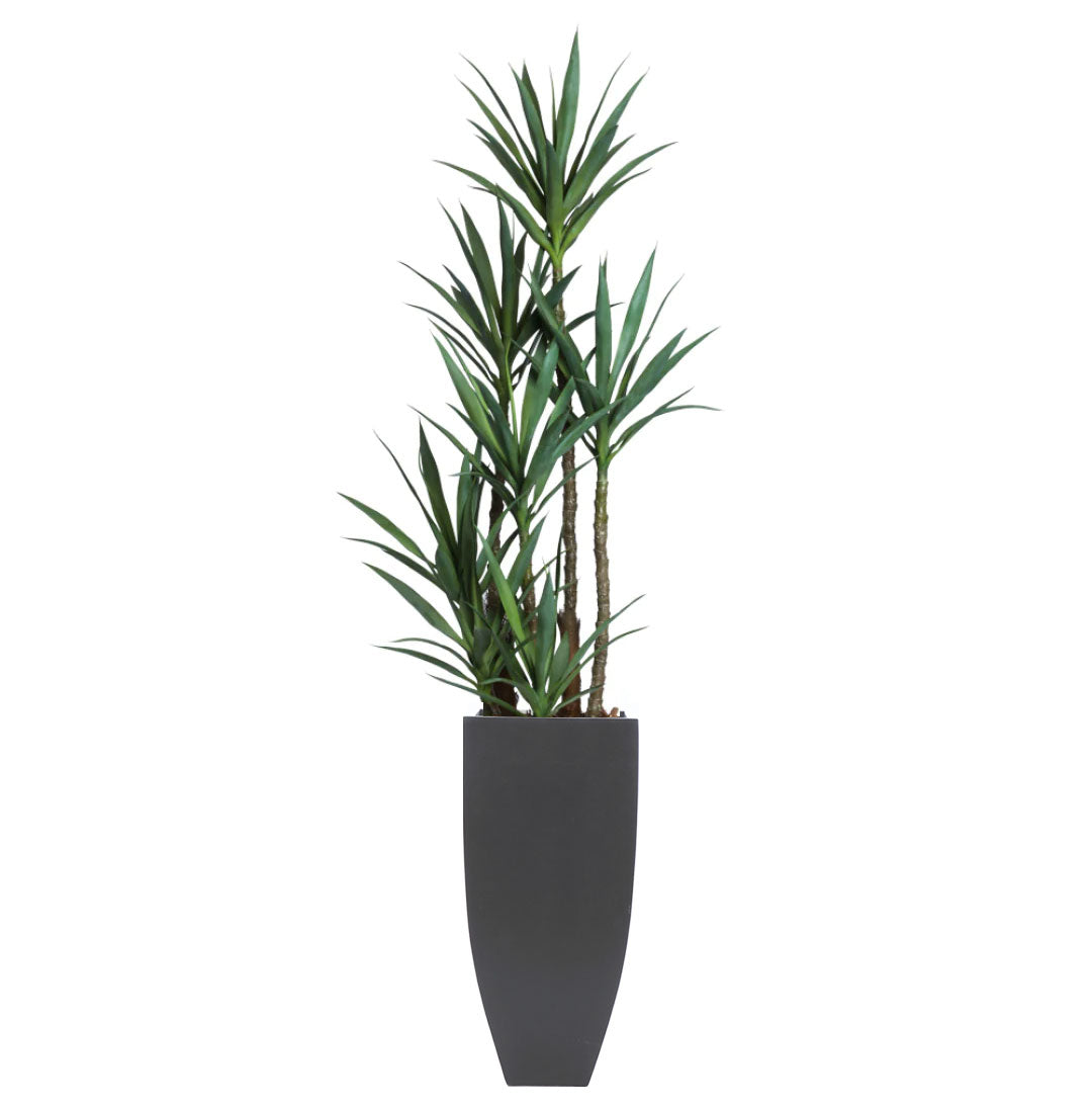 Realistic artificial yucca plant in a tall modern black planter on a white background