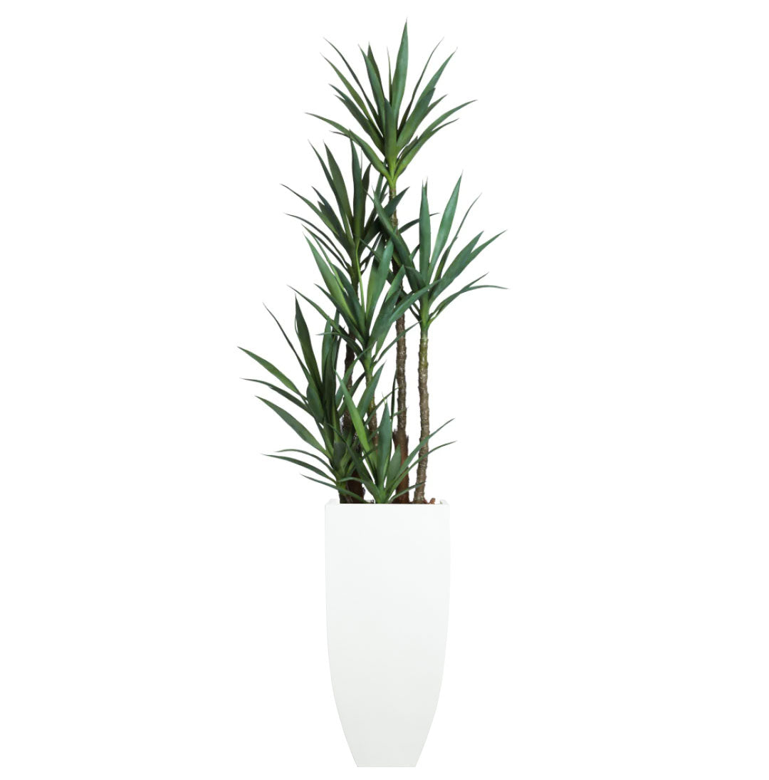 Artificial yucca plant with green spiky leaves in a modern white planter on white background