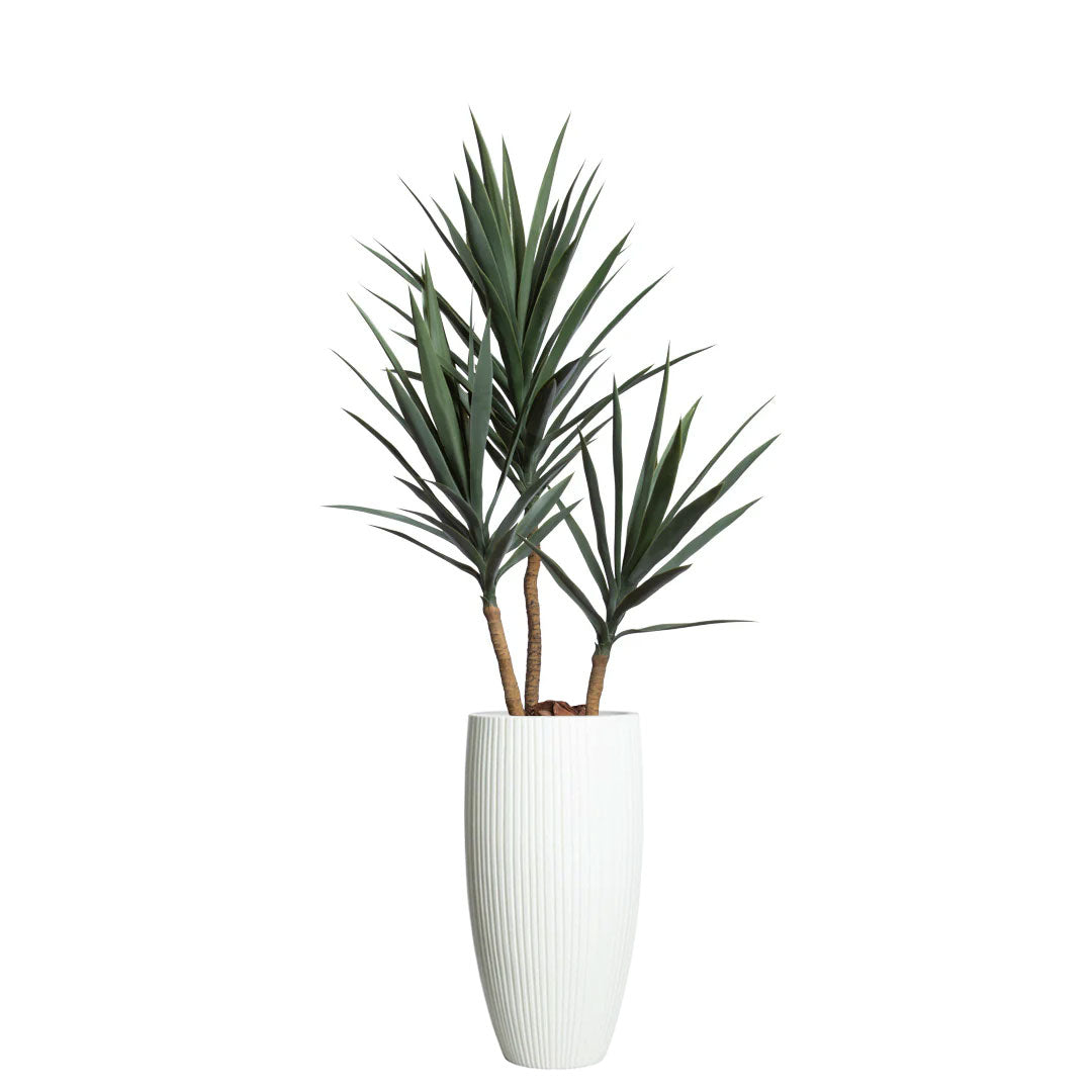 Artificial yucca plant in tall white ribbed planter, modern decorative greenery