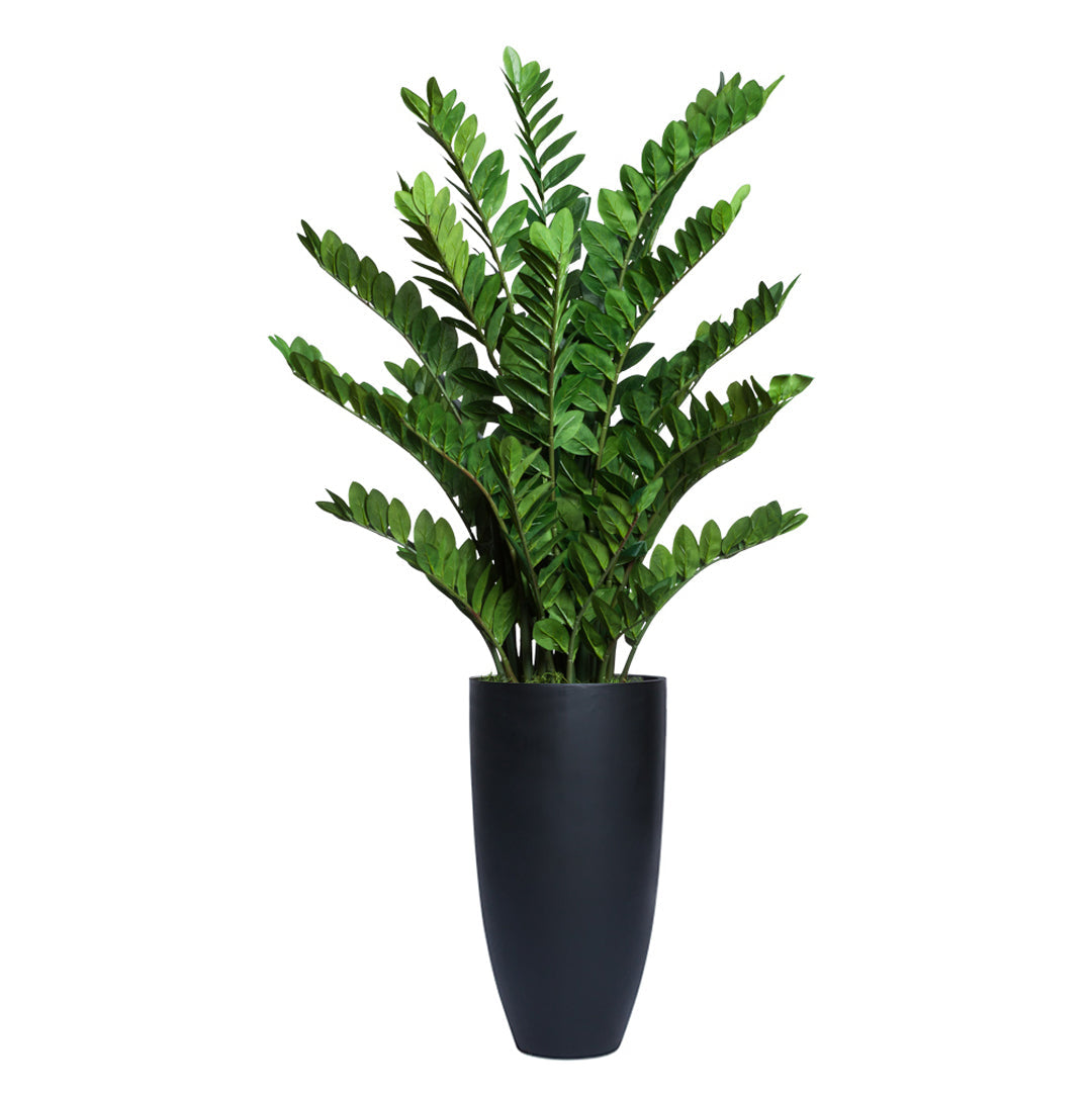 Artificial zamioculcas plant in tall matte black smooth planter