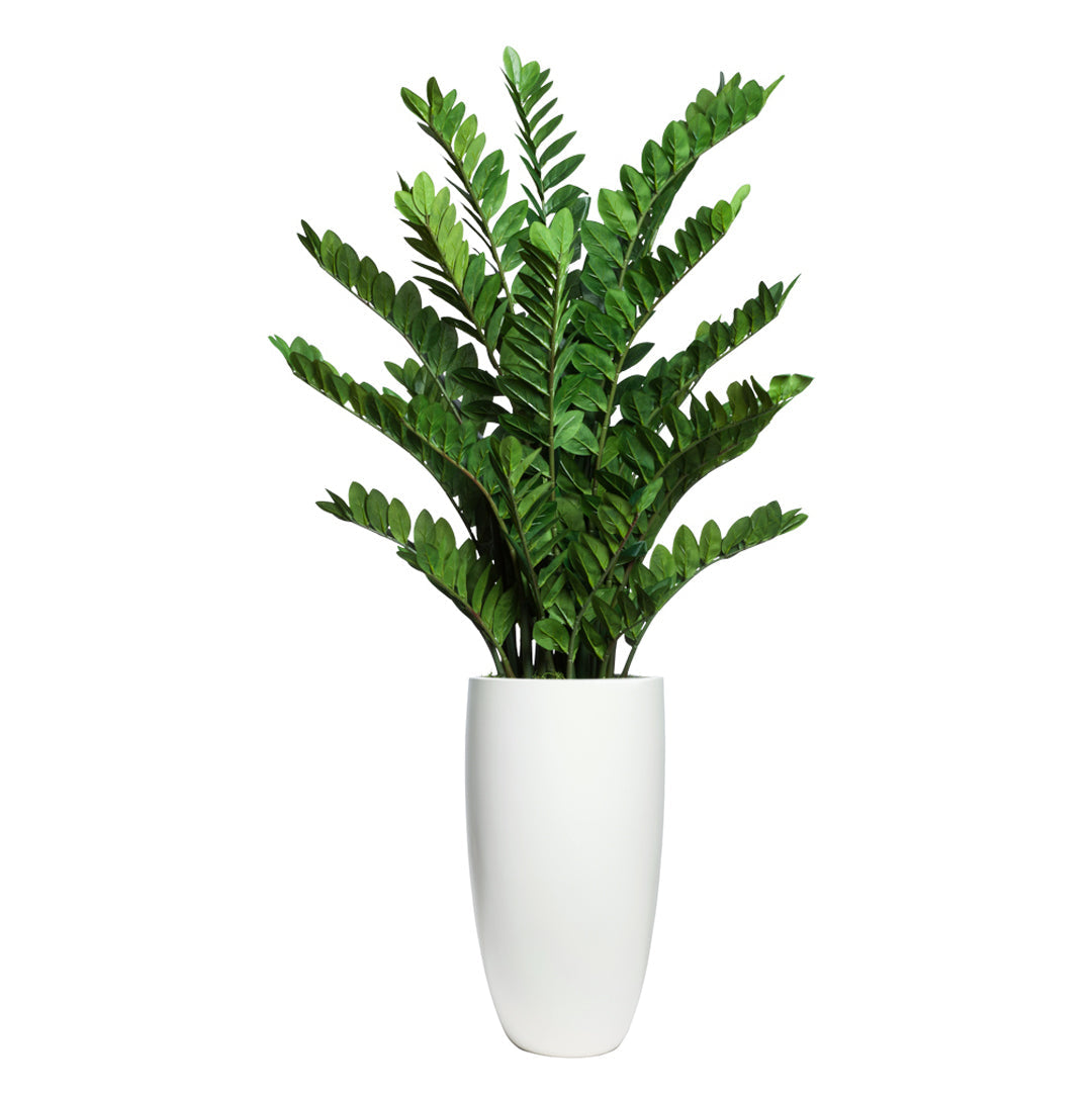 Artificial zamiifolia plant in a tall white smooth planter on a white background